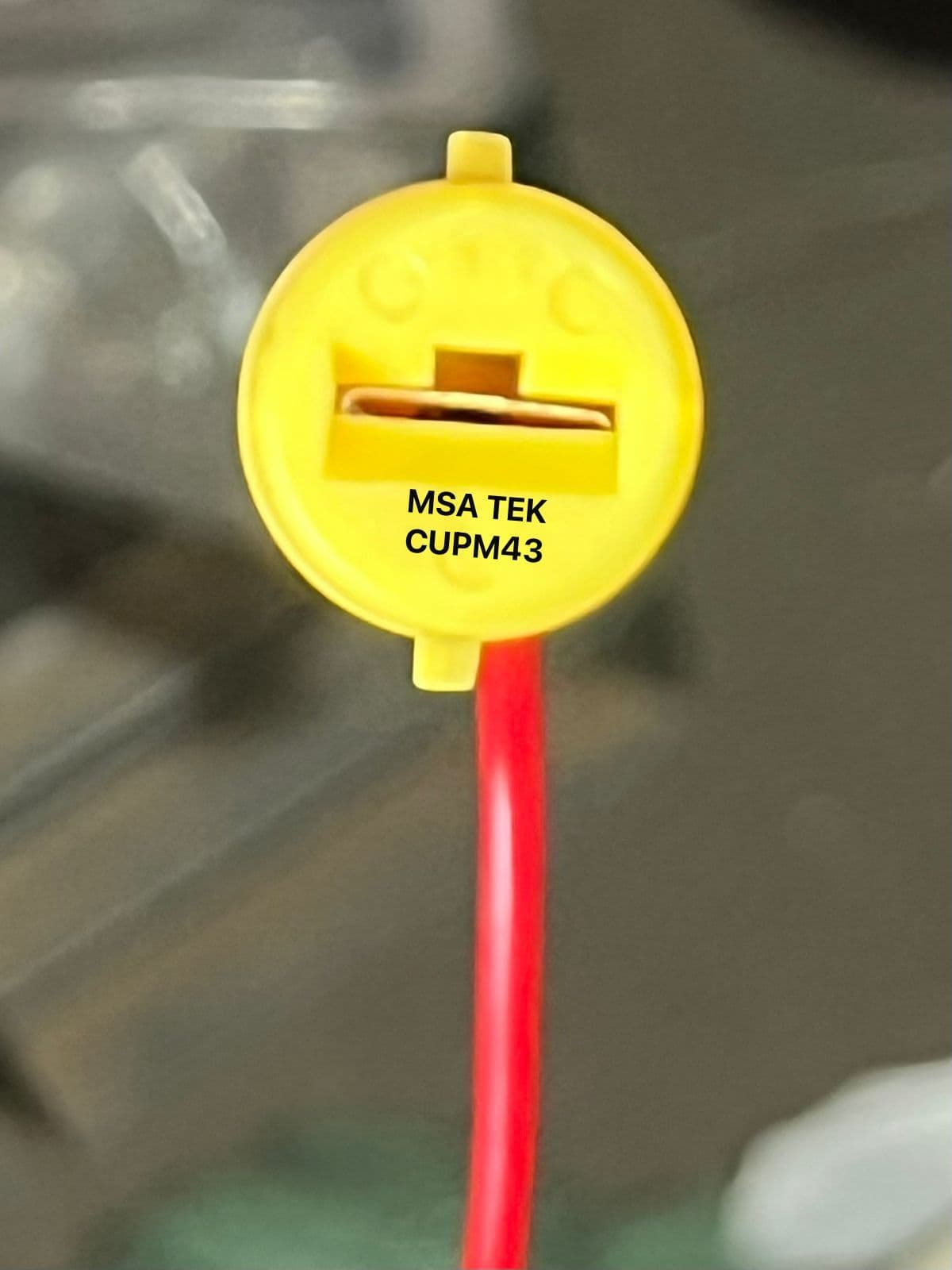 Product View